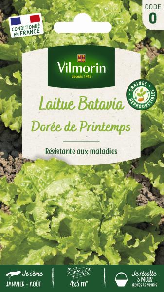 Potagères - Laitue Batavia Dorée de Printemps - PACKAGING_RECTO